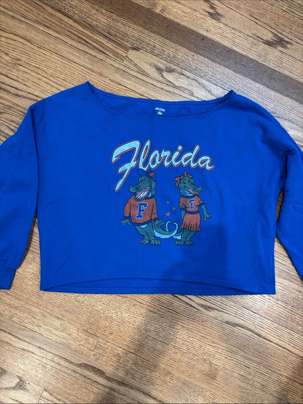 Florida Gators Hollister Graphic Cropped Long Sleeve Sweatshirt Blue